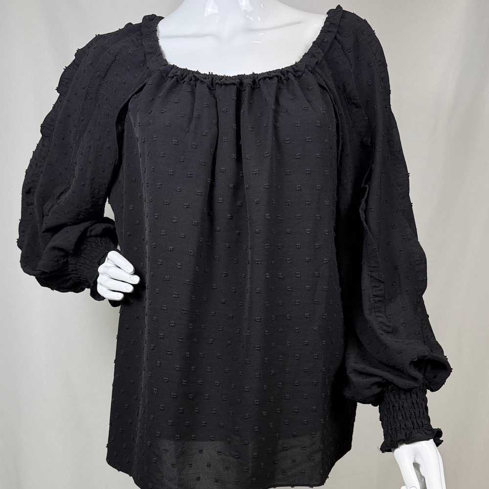 Max Studio Elegant Black Embroidered Polka Dot Ruffle Sleeves Blouse Size Large
